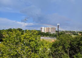 14 - 2463 Unit B Rooftop Stude Park View